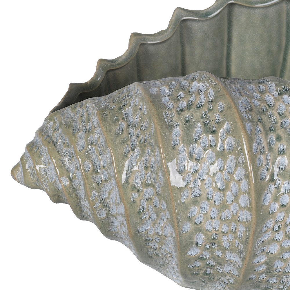 Close-up of the celadon green ceramic shell showing the detailed surface texture and crackle-effect glaze.