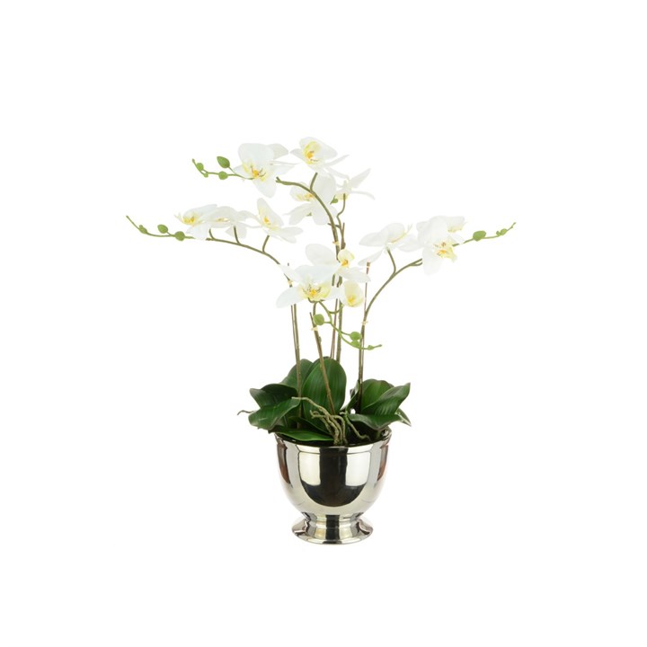 Realistic white faux Phalaenopsis orchid with green leaves in a polished silver trophy-style pot