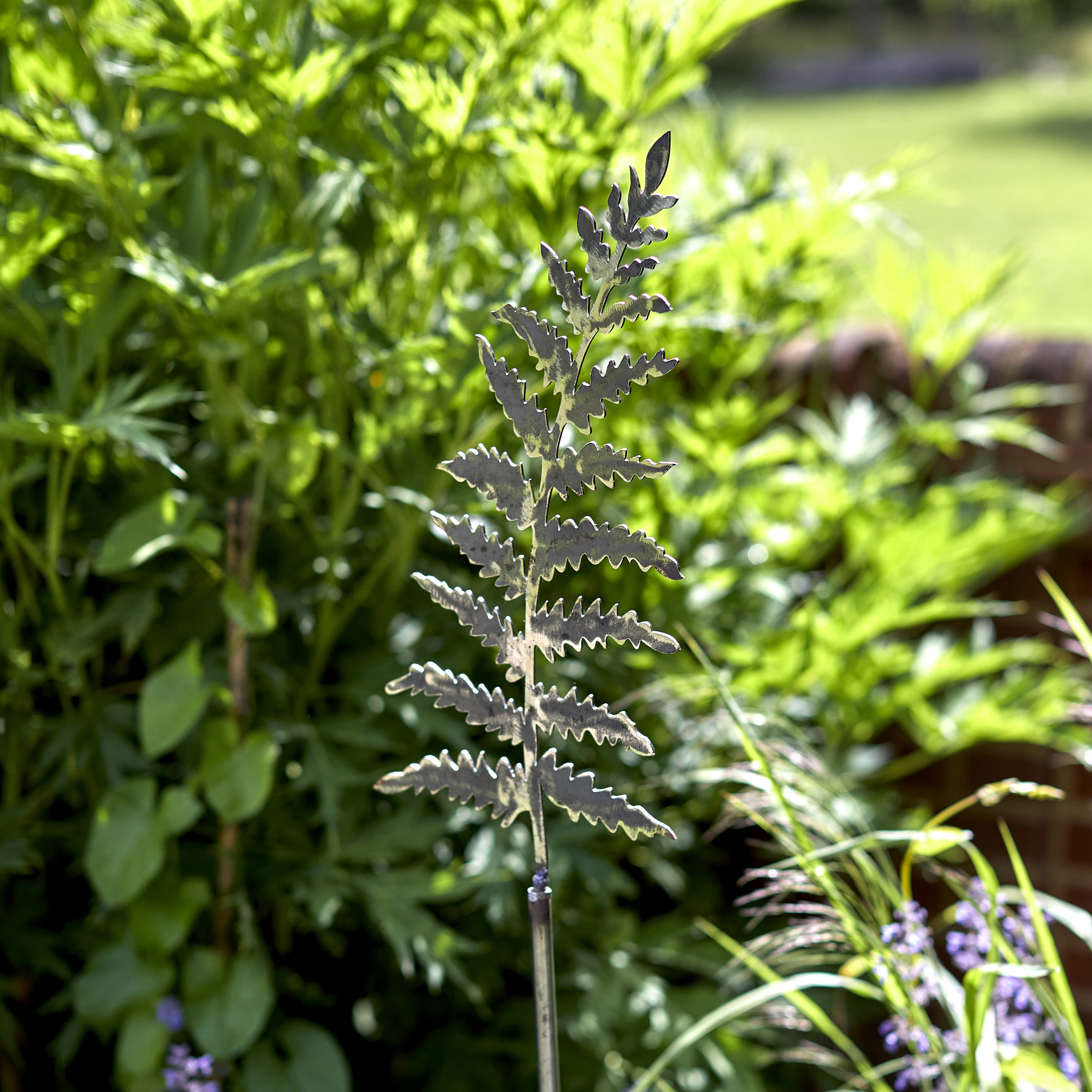 Giant Fern on Stake