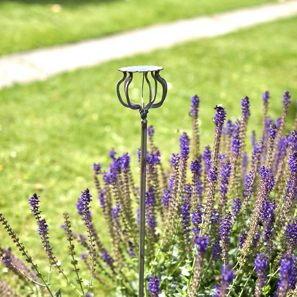 Poppy on Stake