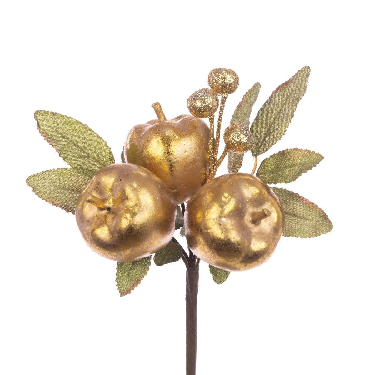 Apple Stem with Foliage