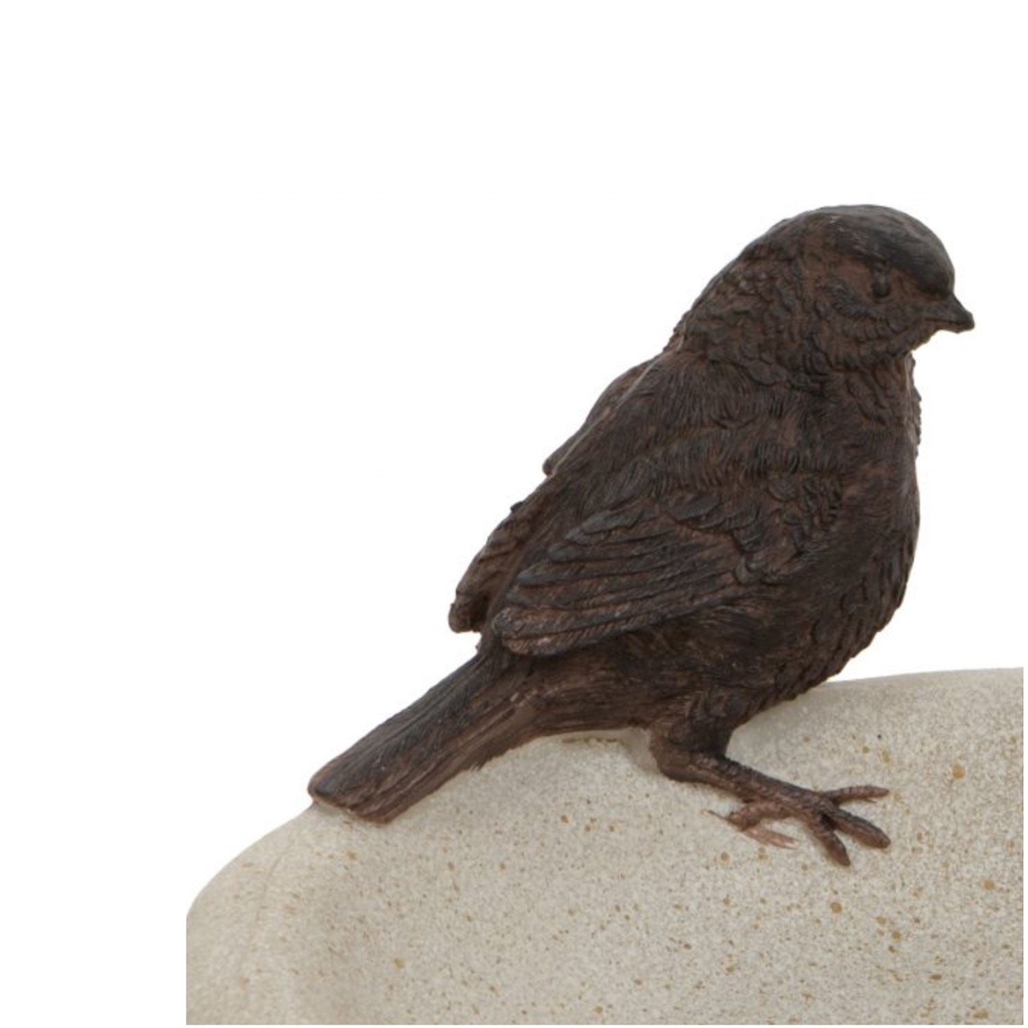 Bird Bowl