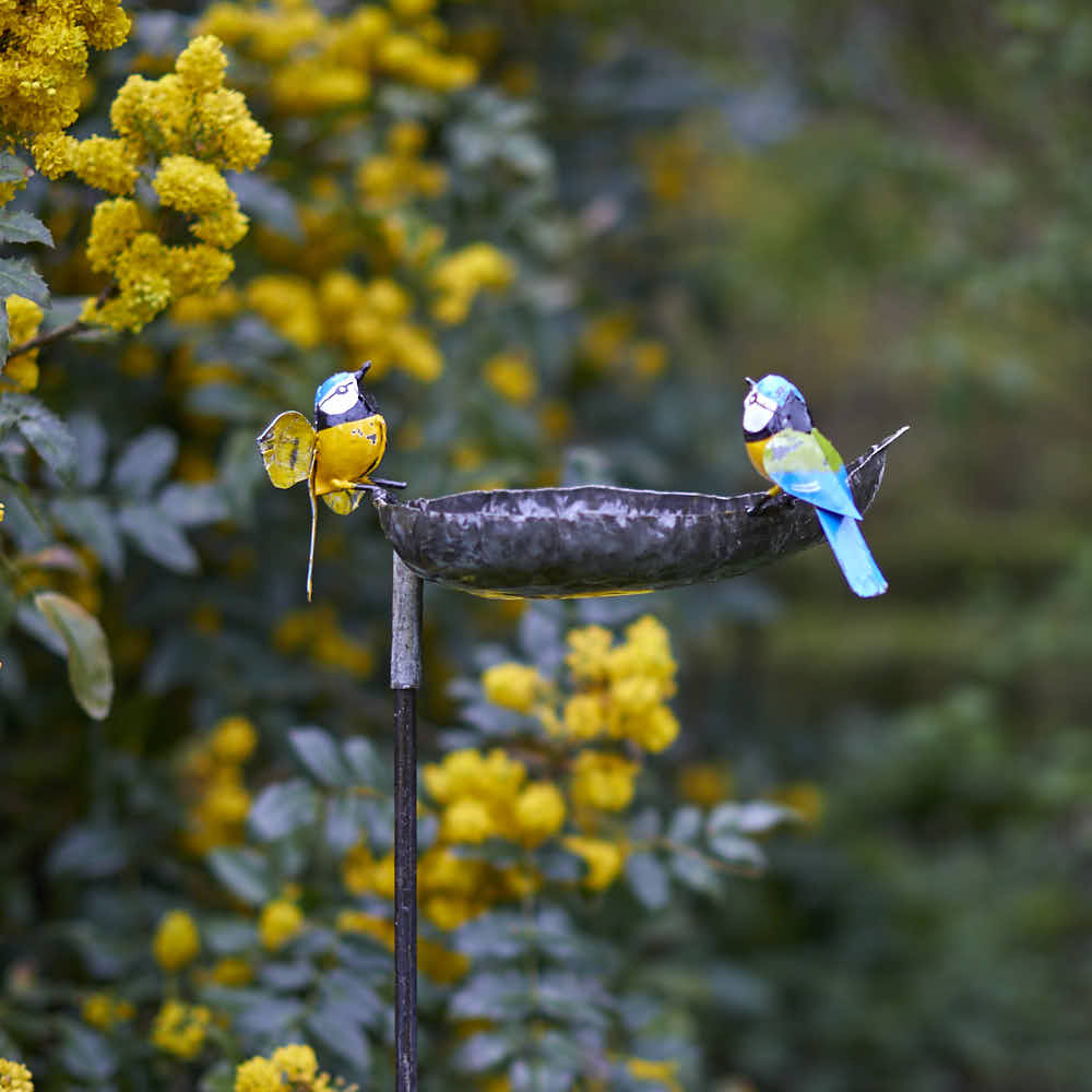 Blue Tit Bird Feeder