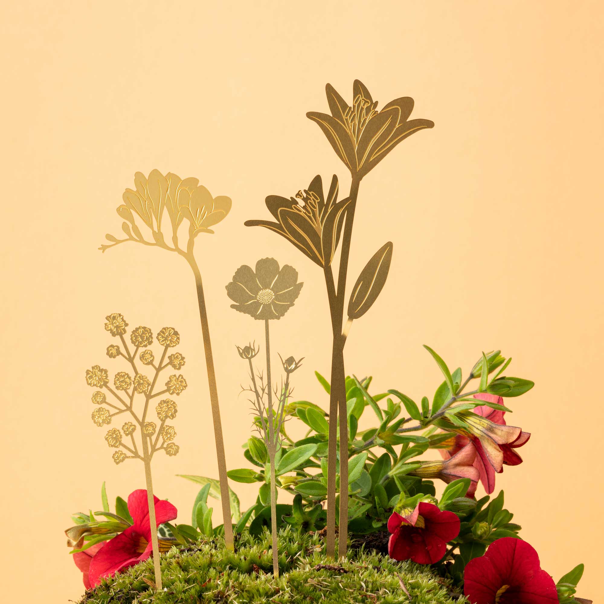 Brass Pot Stems, Bouquet