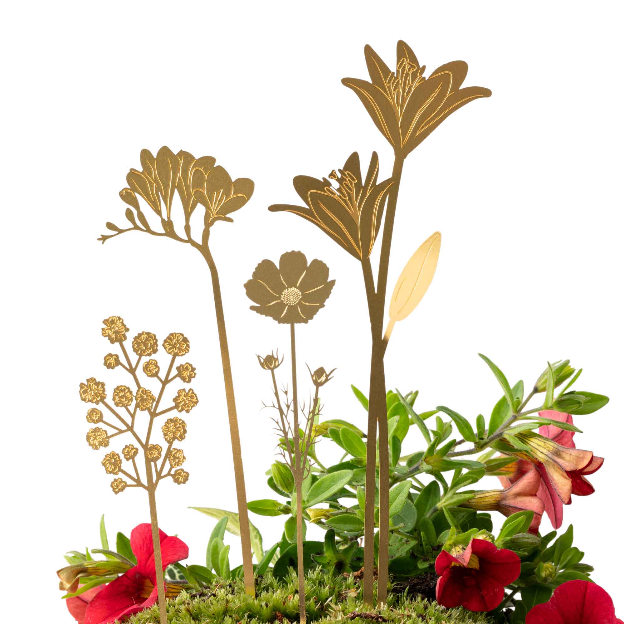 Brass Pot Stems, Bouquet