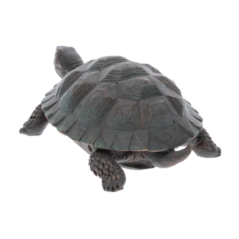 Garden Tortoise