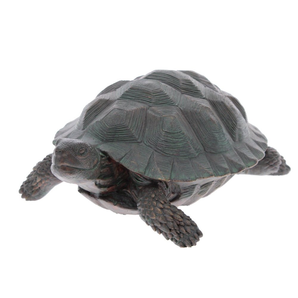 Garden Tortoise