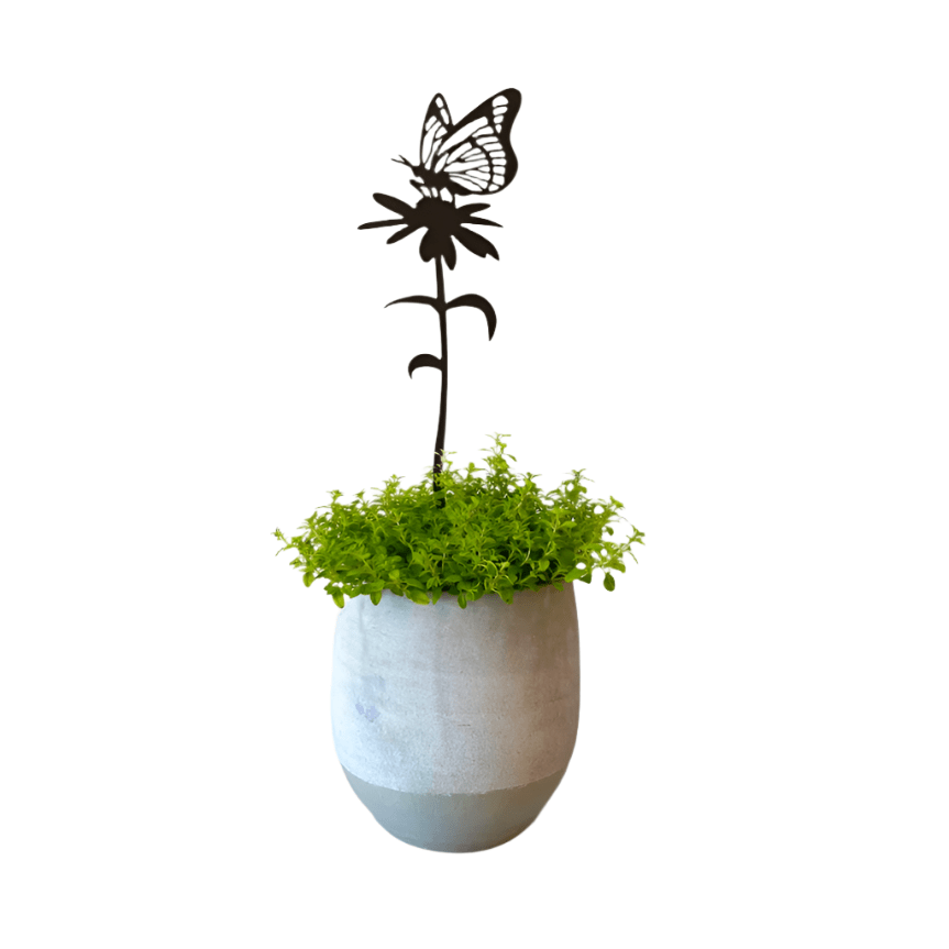 Butterfly Feeding Pot Stem