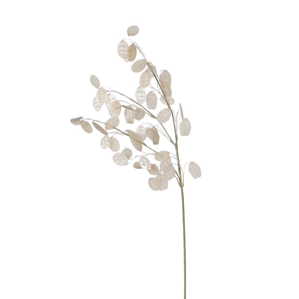 Clear Honesty Spray