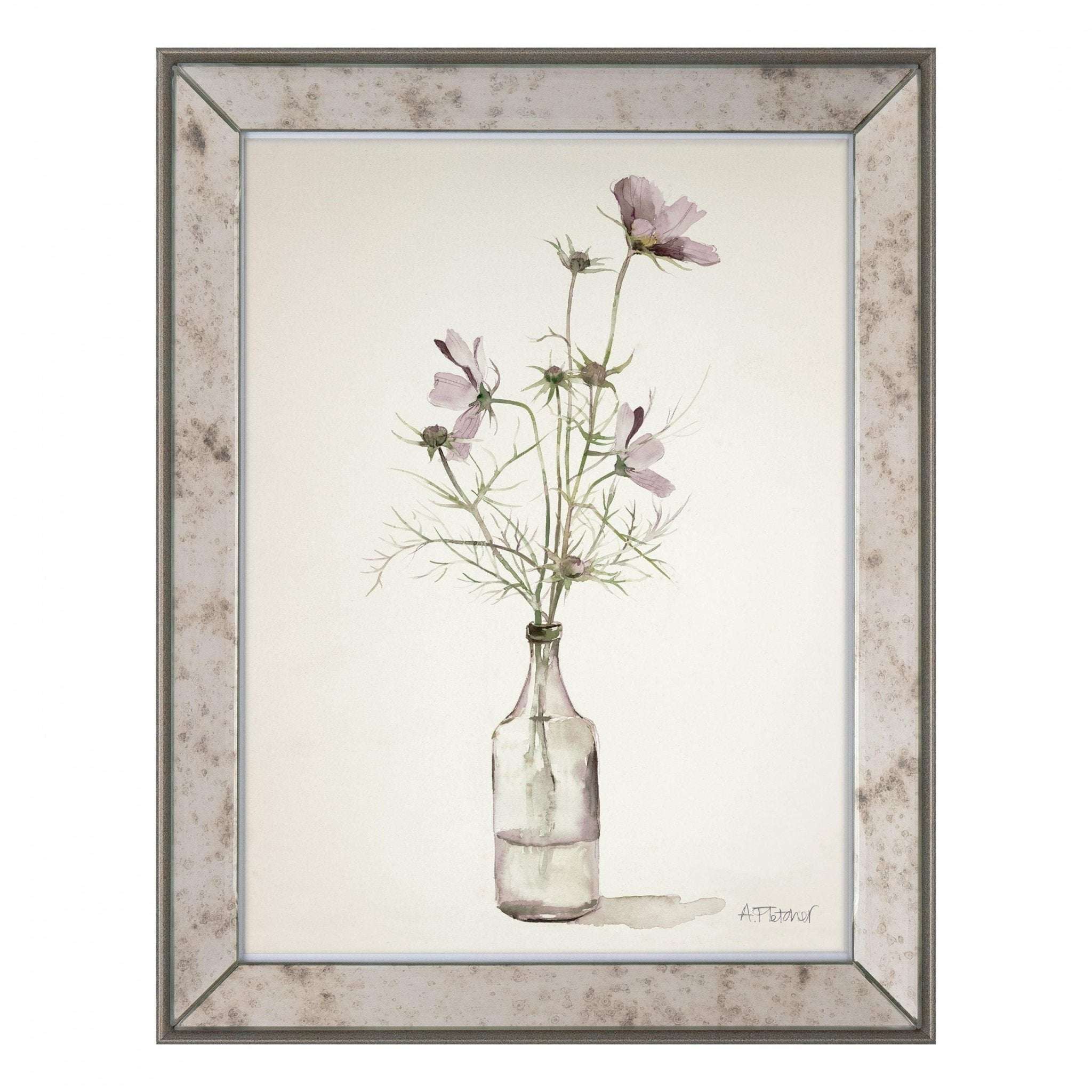Cosmos