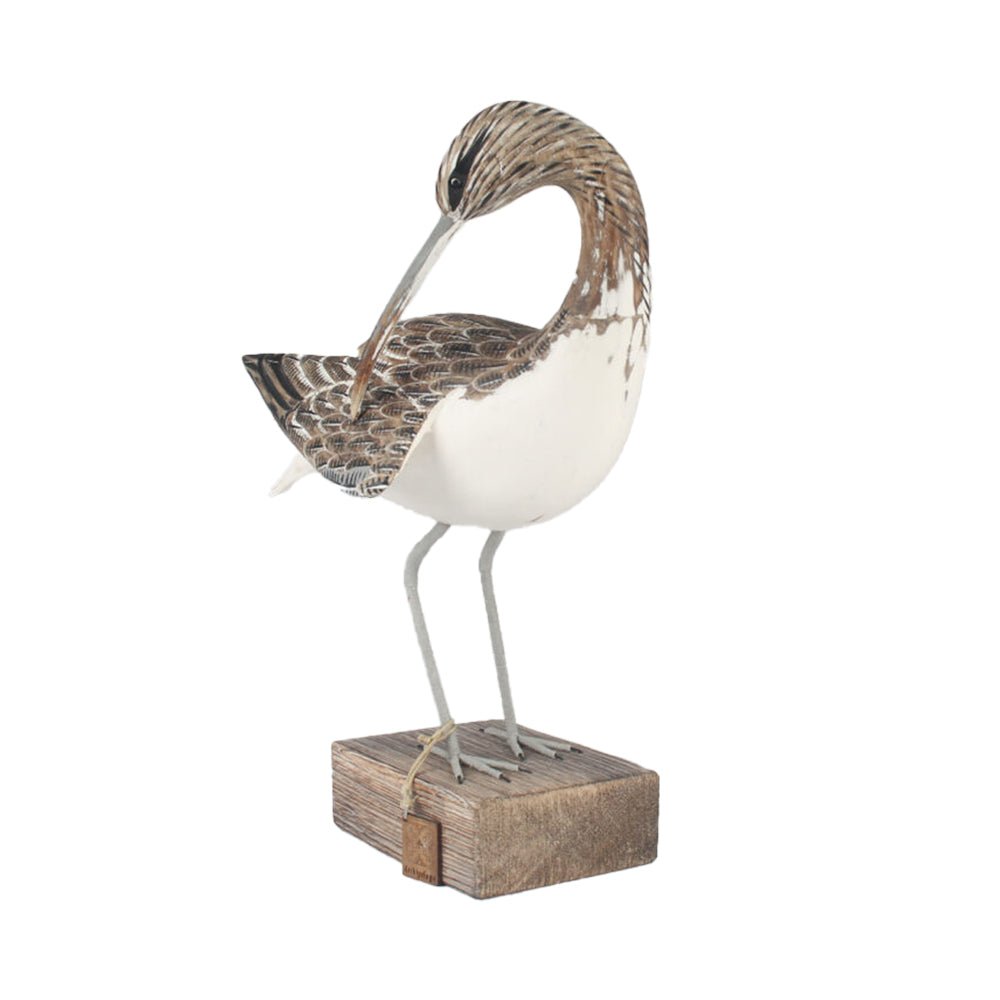 Curlew Preening