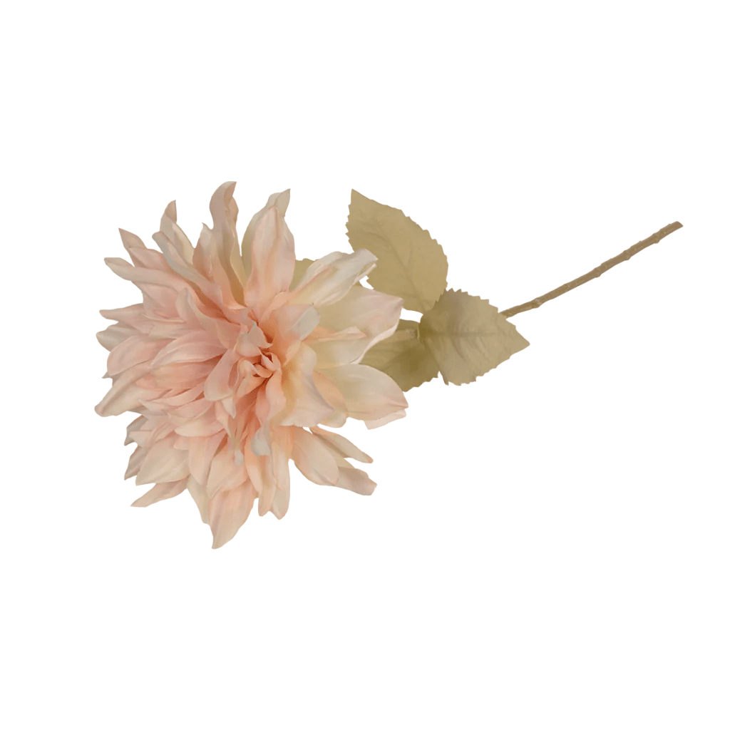 Dahlia Fairway Pilot