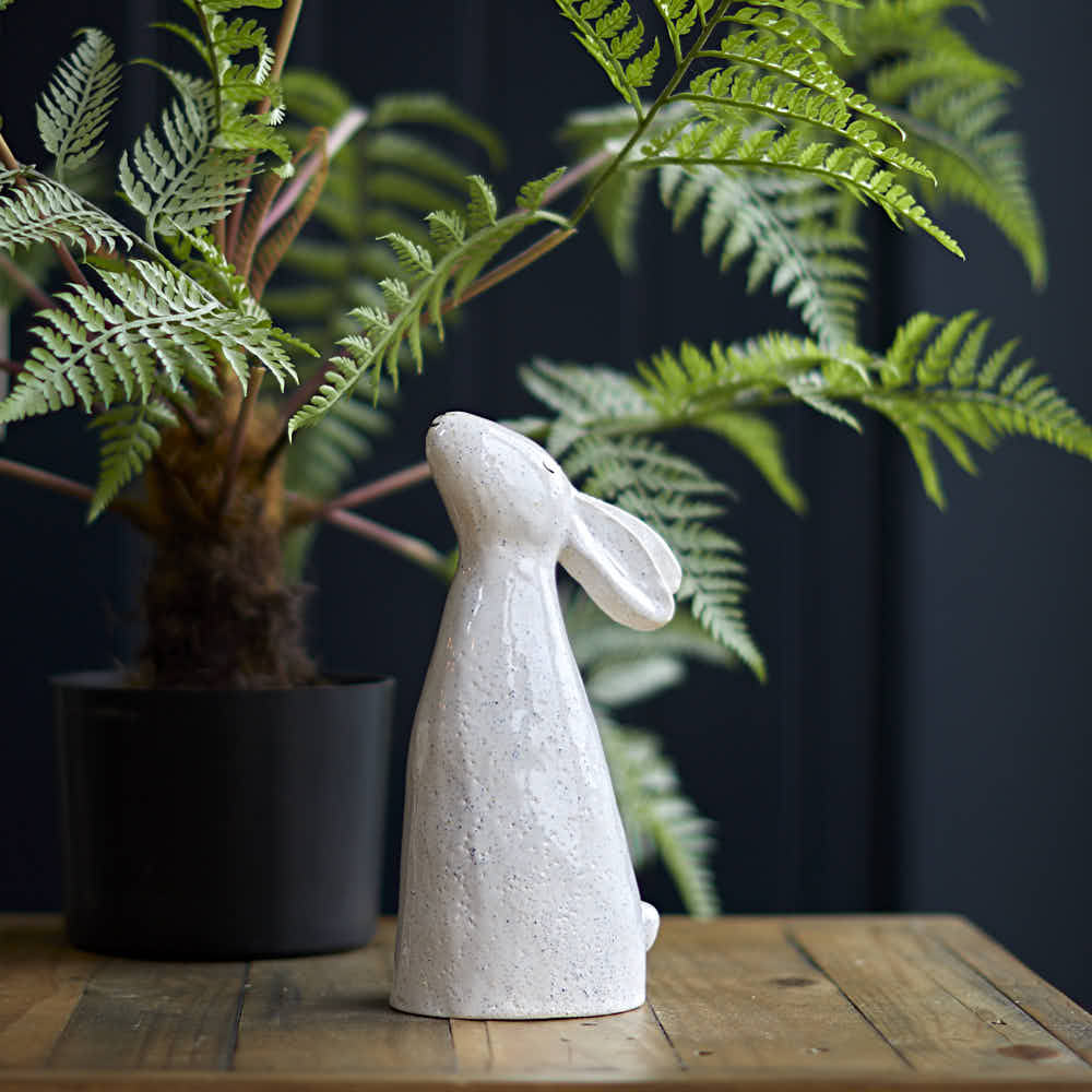 Dreaming Rabbit, White