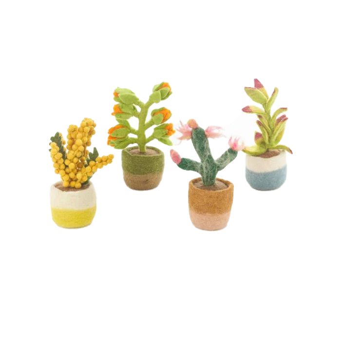 Felt Houseplant Cactus Decorations, Assorted - Angela Reed -