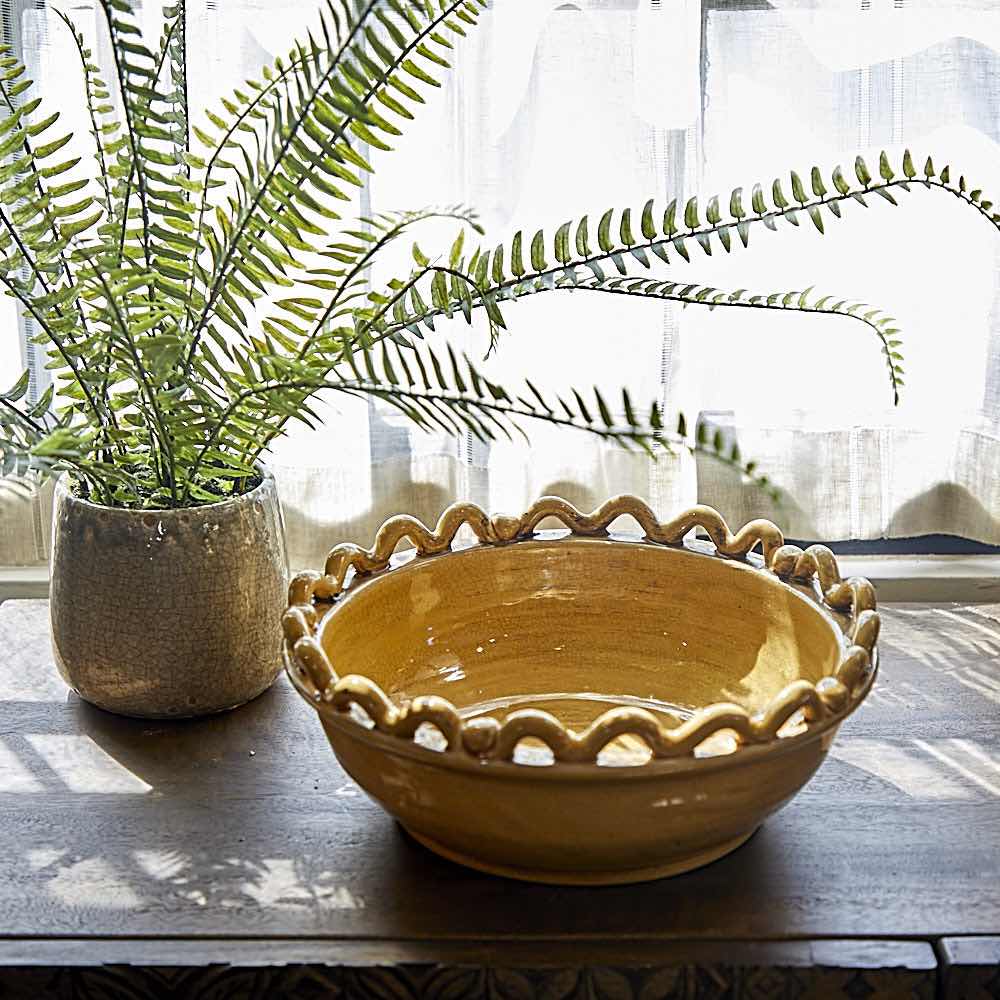 Fern in Khaki Ceramic Pot