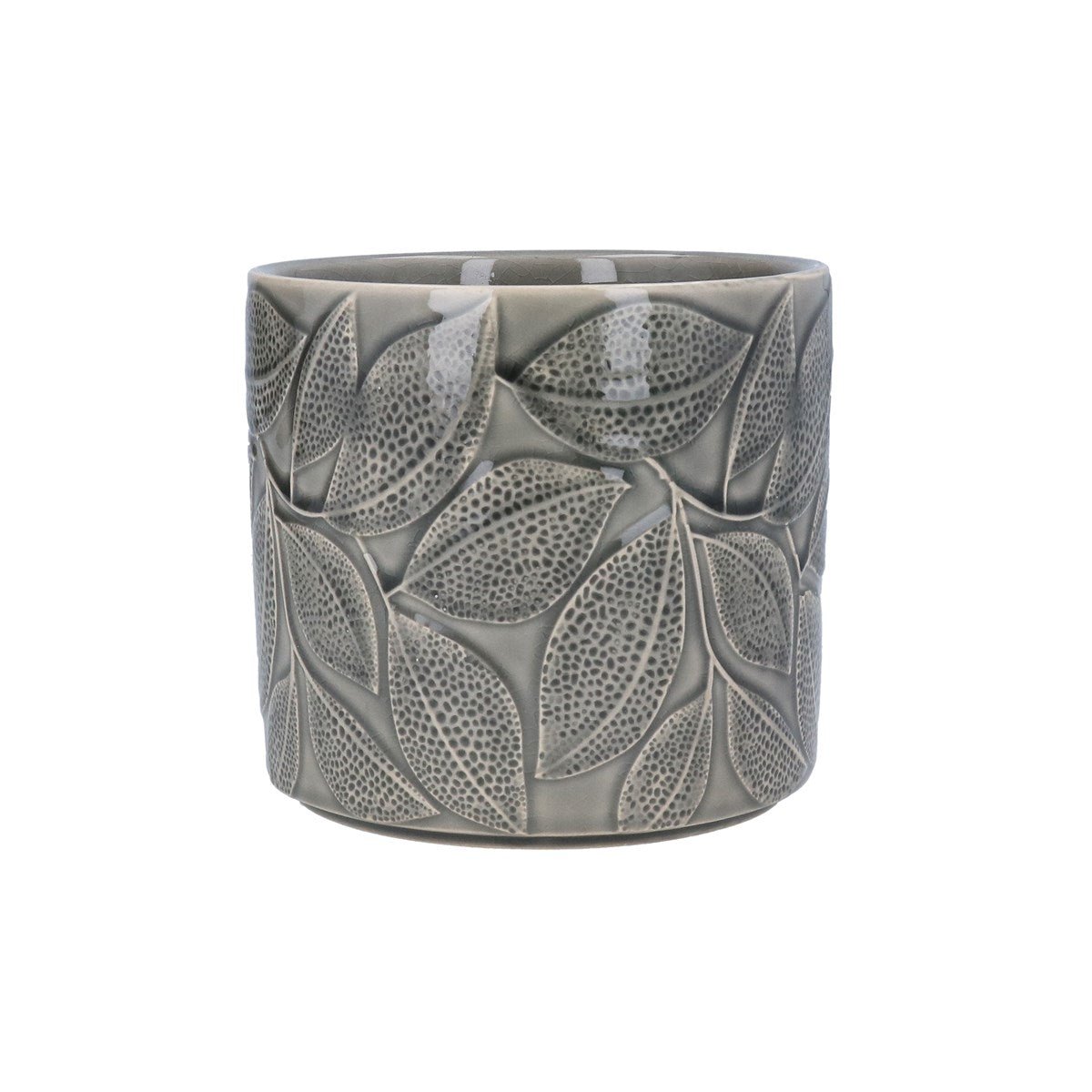 Grey Leaves Plant Pot Small
