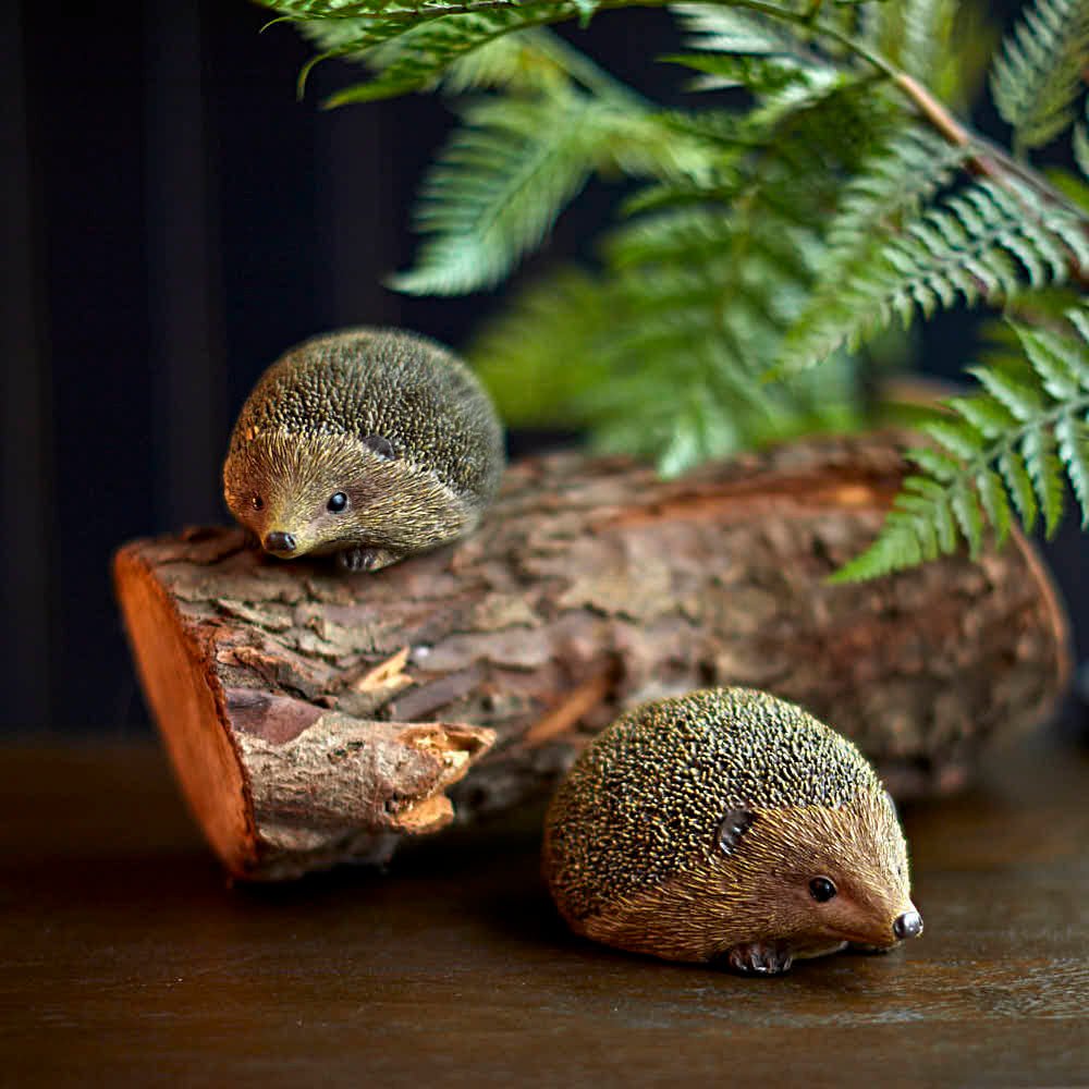 Hedgehog Large