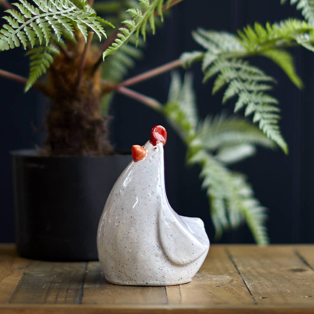 Hen, White