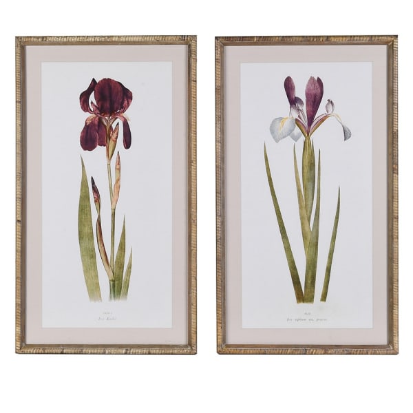 Iris Vintage Style Artwork