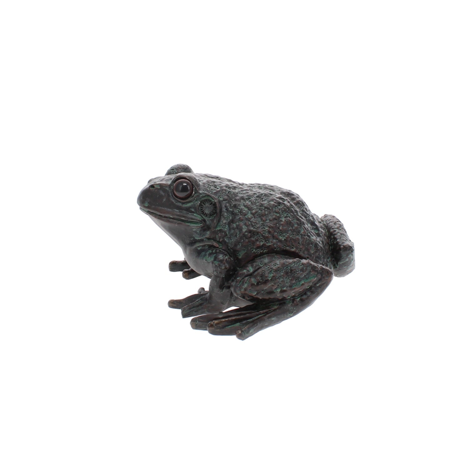 Large Frog - A