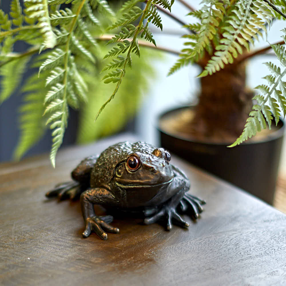 Large Frog - A