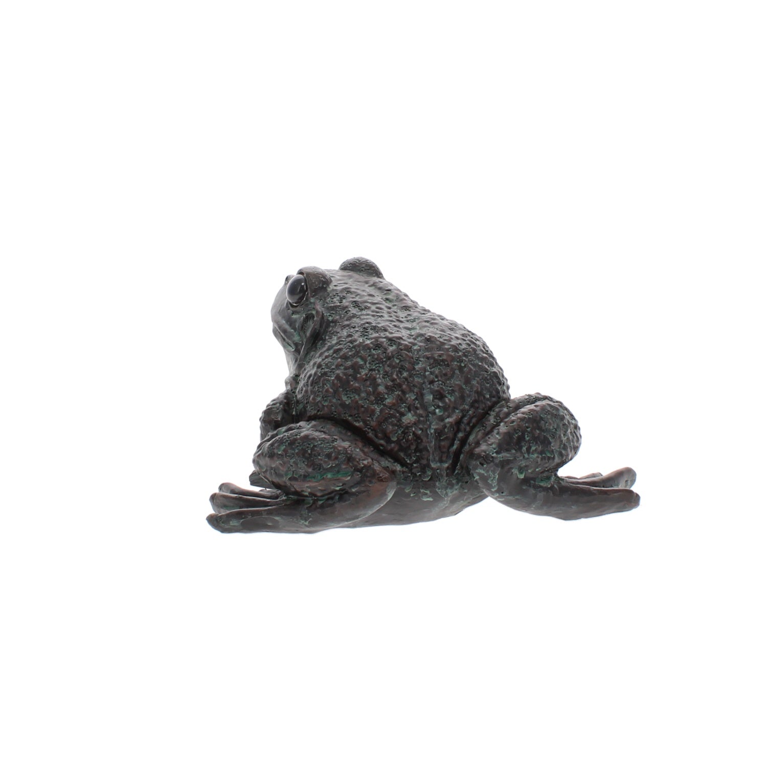 Large Frog - A