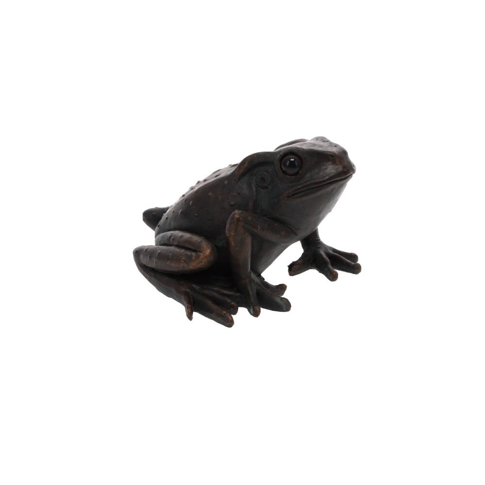 Large Frog - B