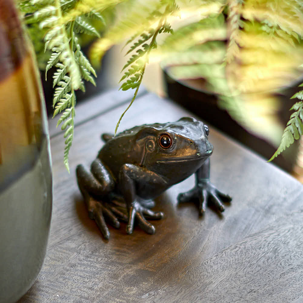 Large Frog - B