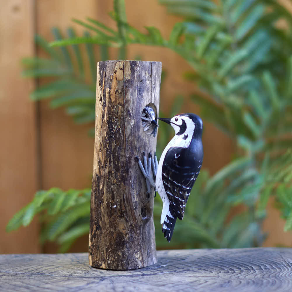 Lesser Spotted Woodpecker