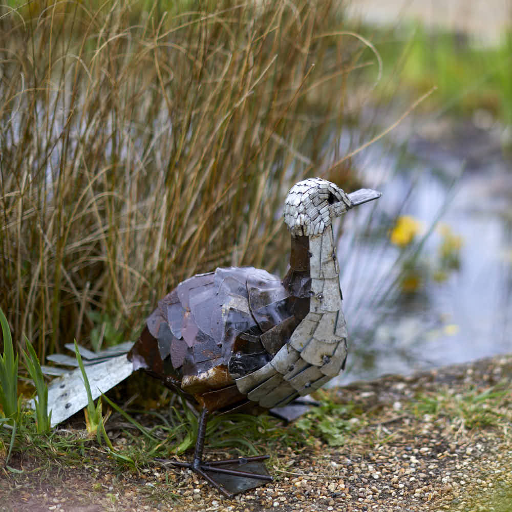 Metal Duck