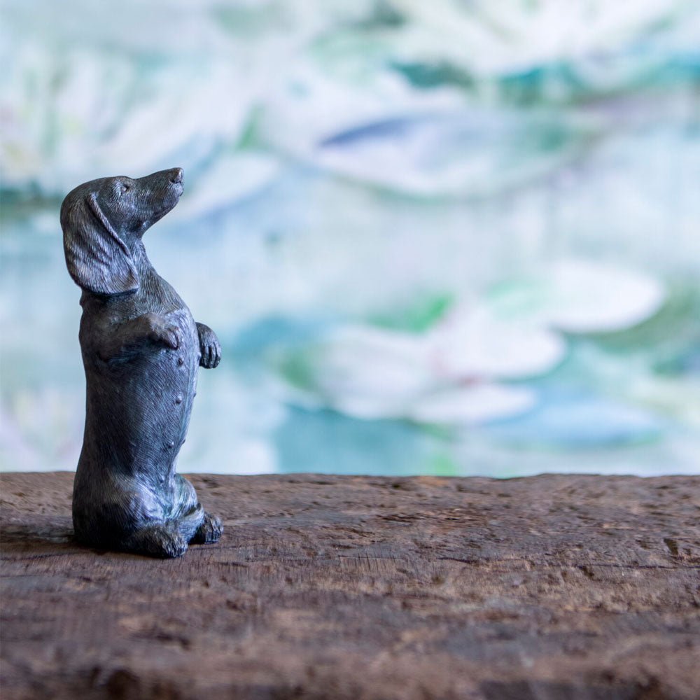 Mini Bronze Dachshund, Standing