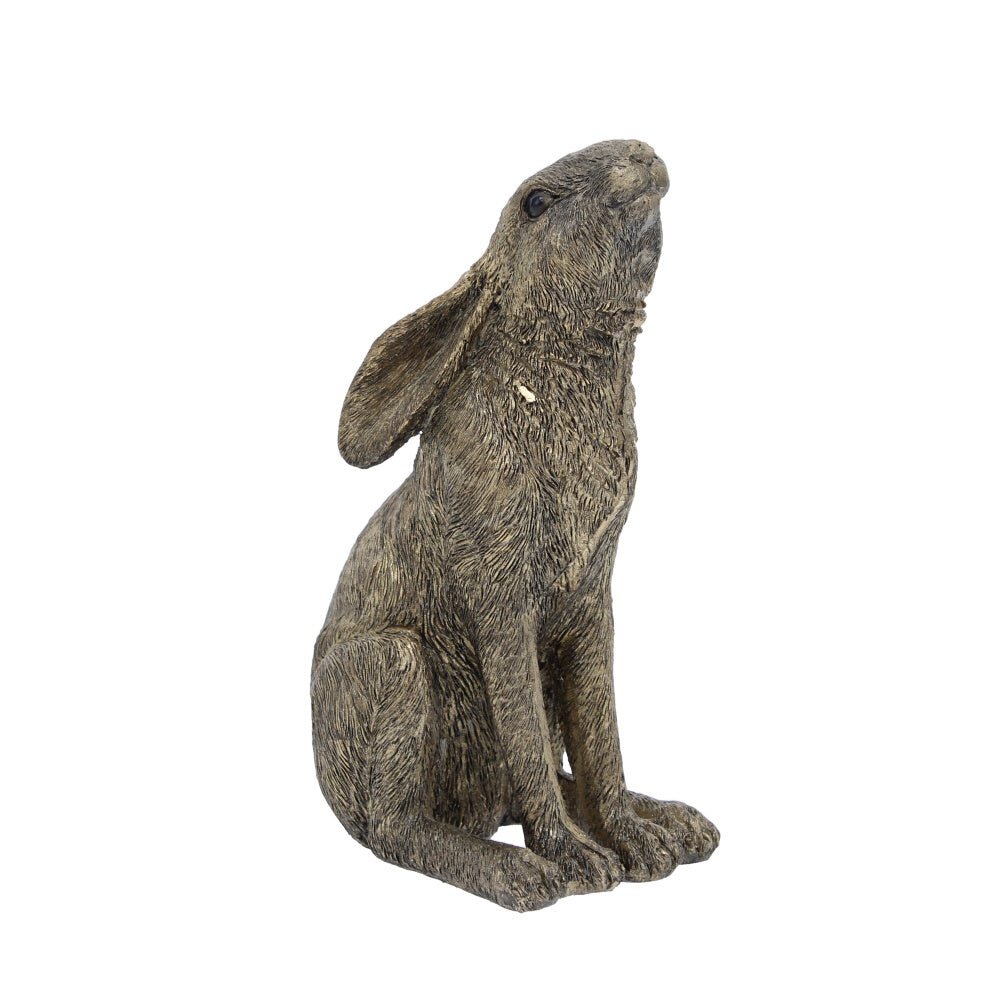 Moon Gazing Hare