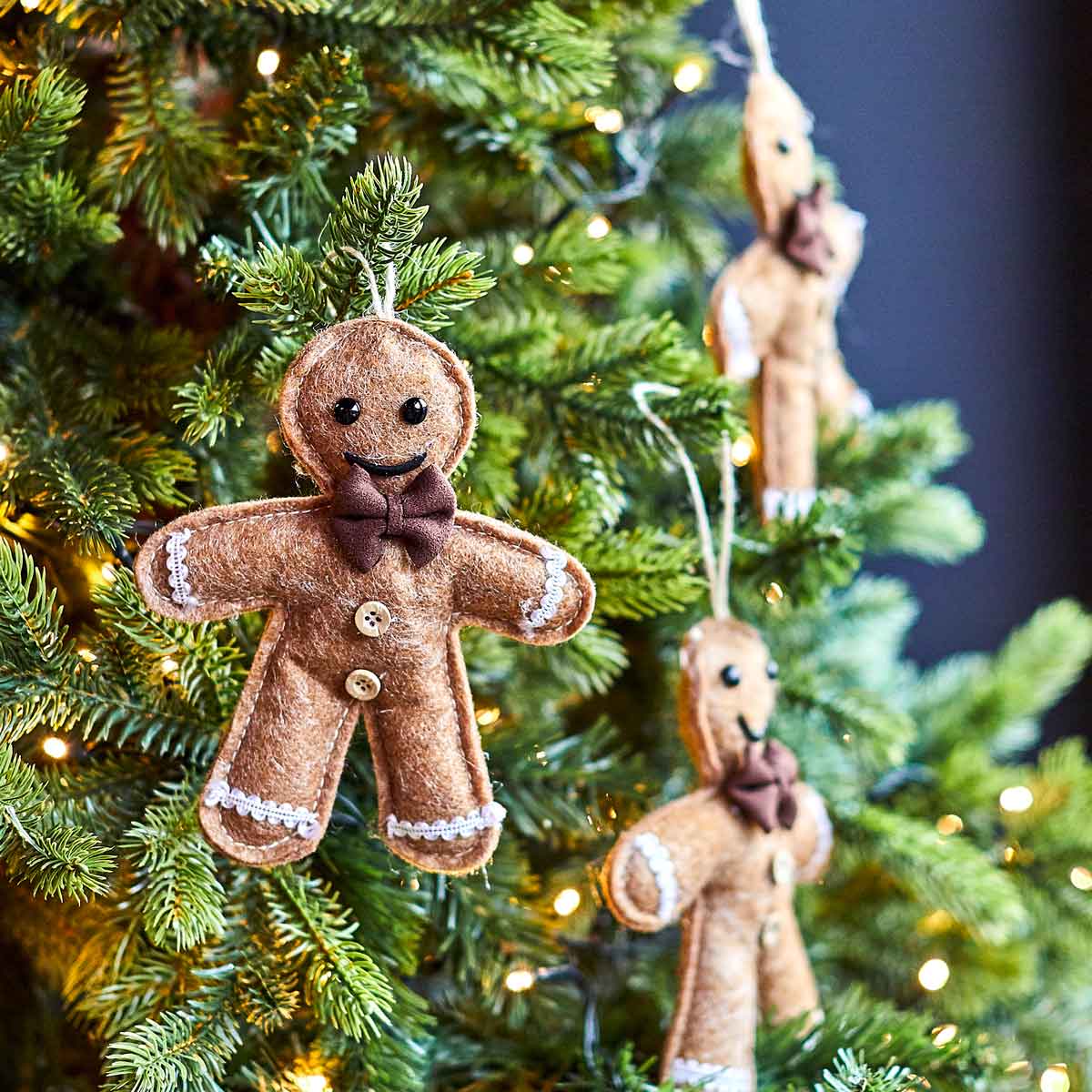 Nigel the Gingerbread Man