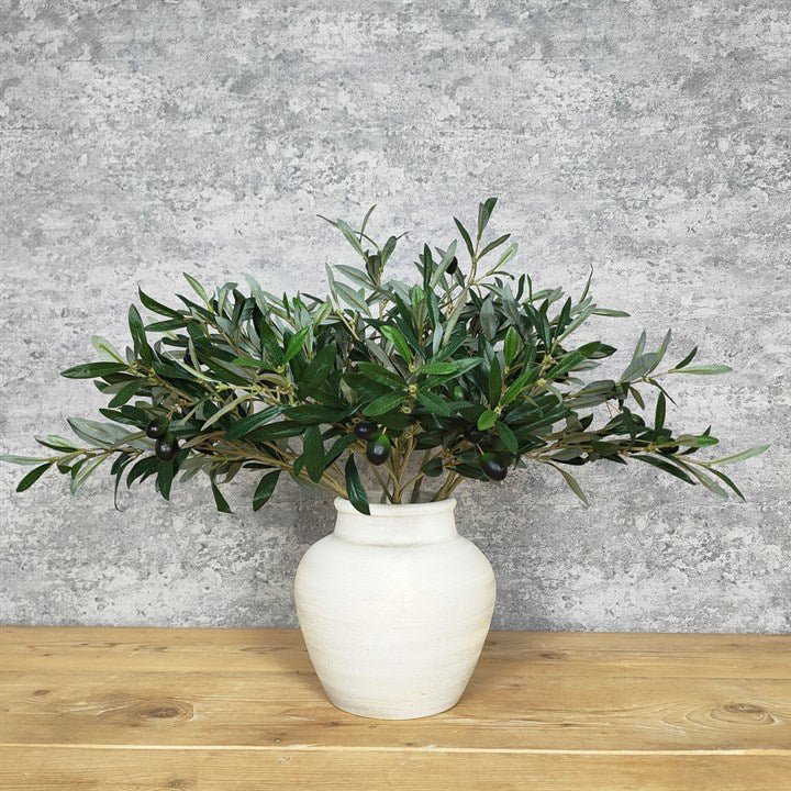 Olive Spray