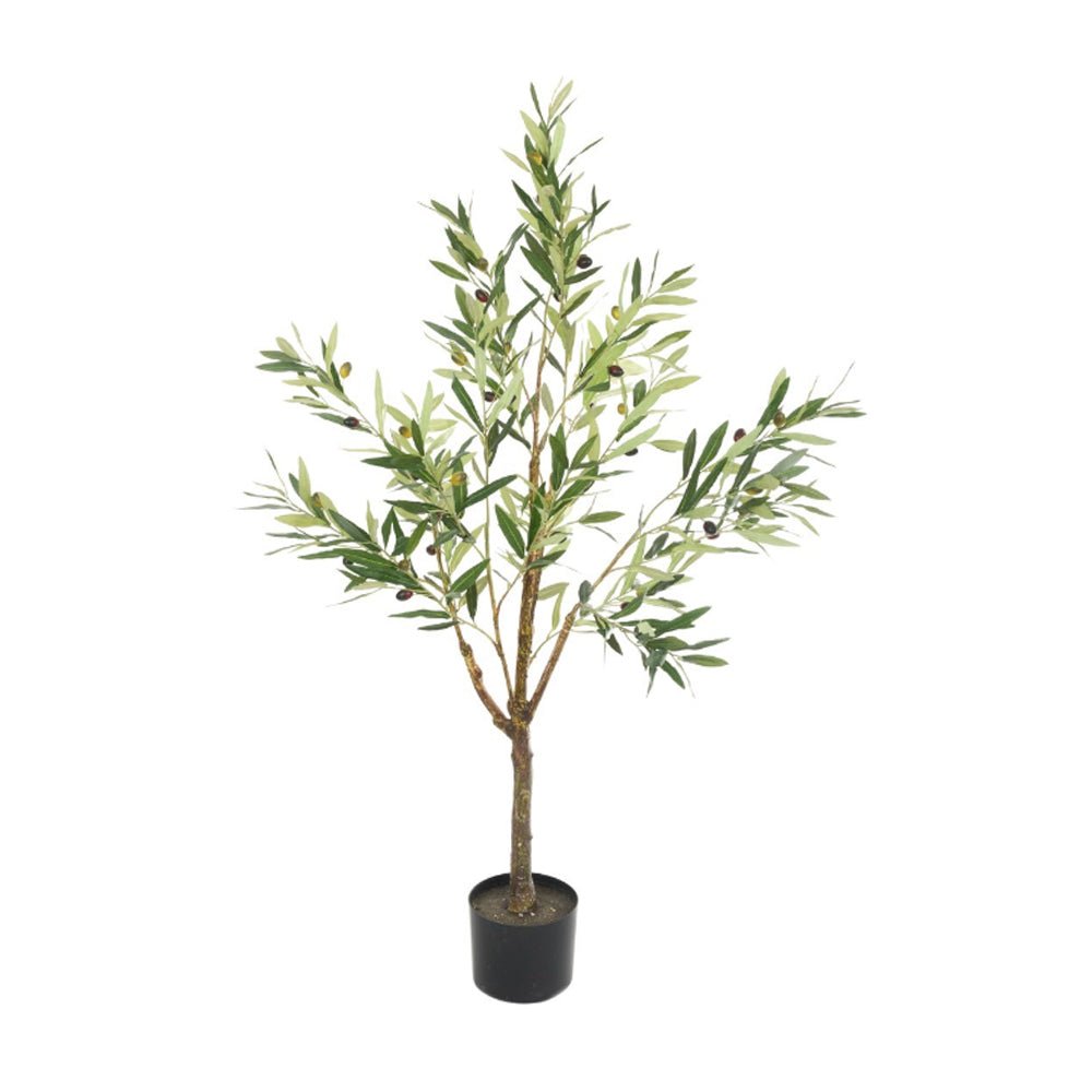 Olive Tree in Pot, 120cm - Angela Reed -