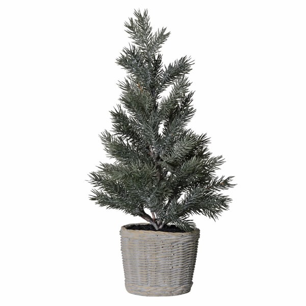 Pine Tree in Clay Pot - Angela Reed - Christmas Decorations