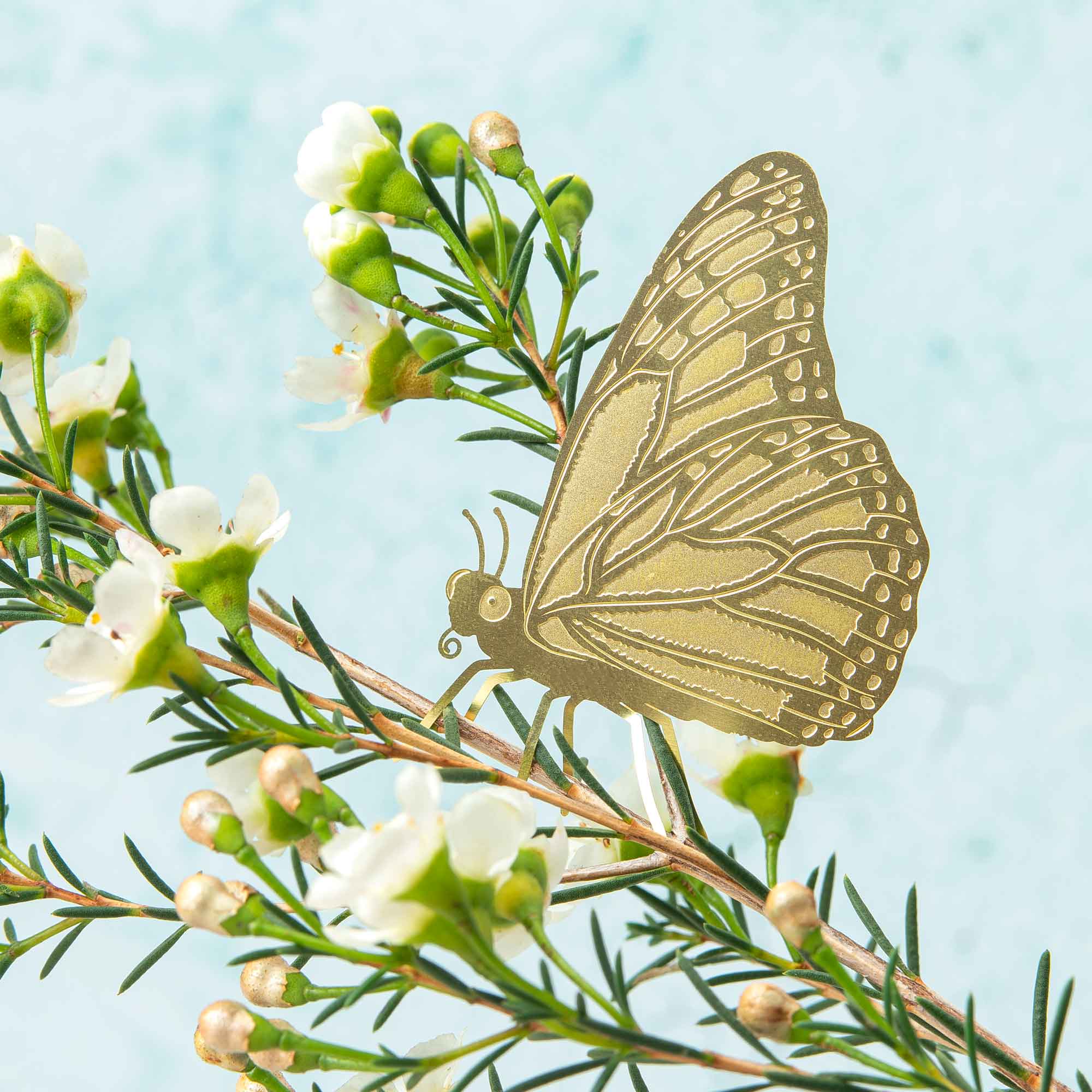 Plant Animal - Butterfly, House Plant Decoration