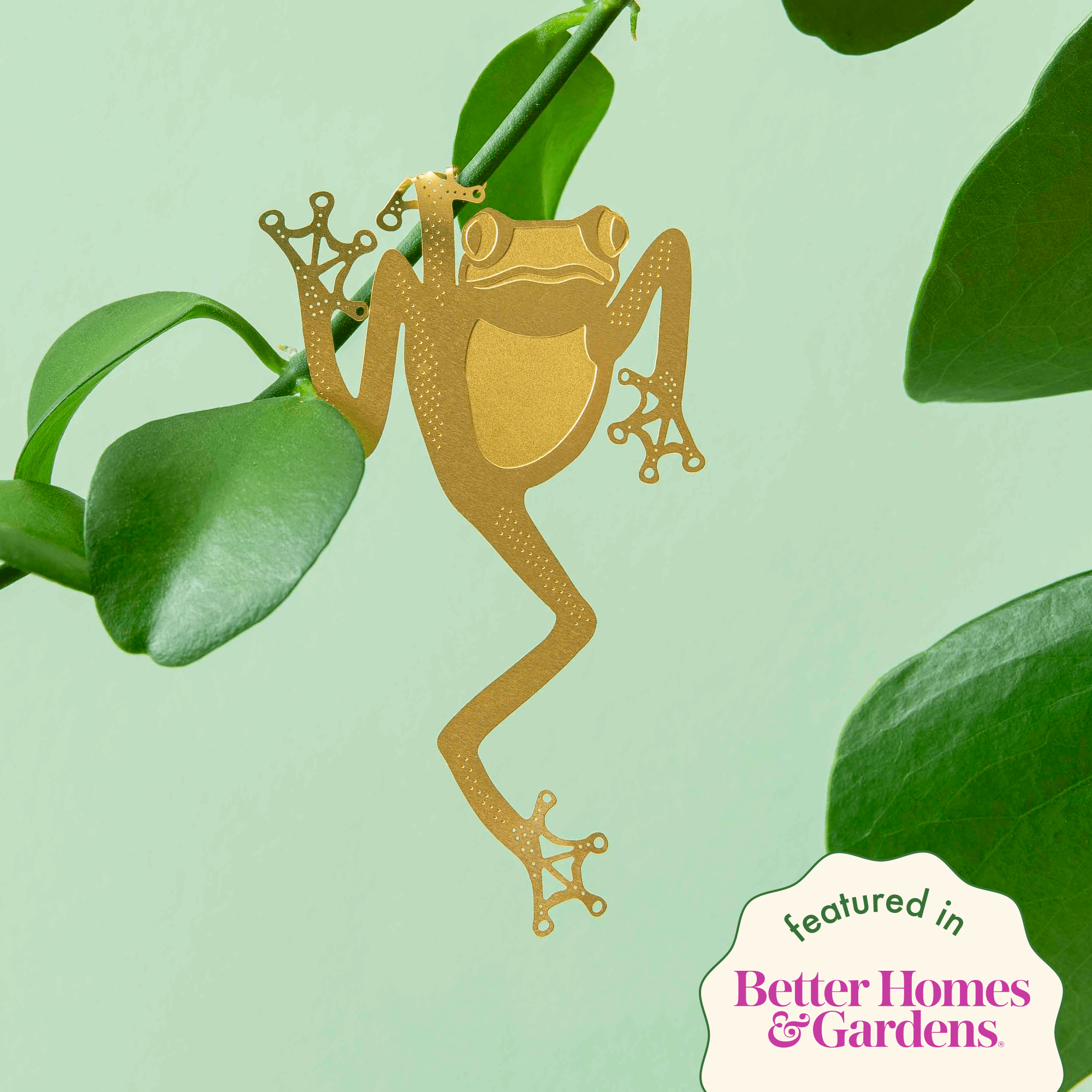 Plant Animal - Tree Frog, Unique House Plant Gift