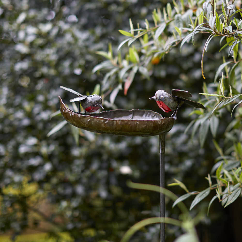 Robin Bird Feeder