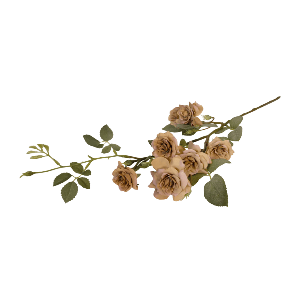 Rosa Spray Caramel
