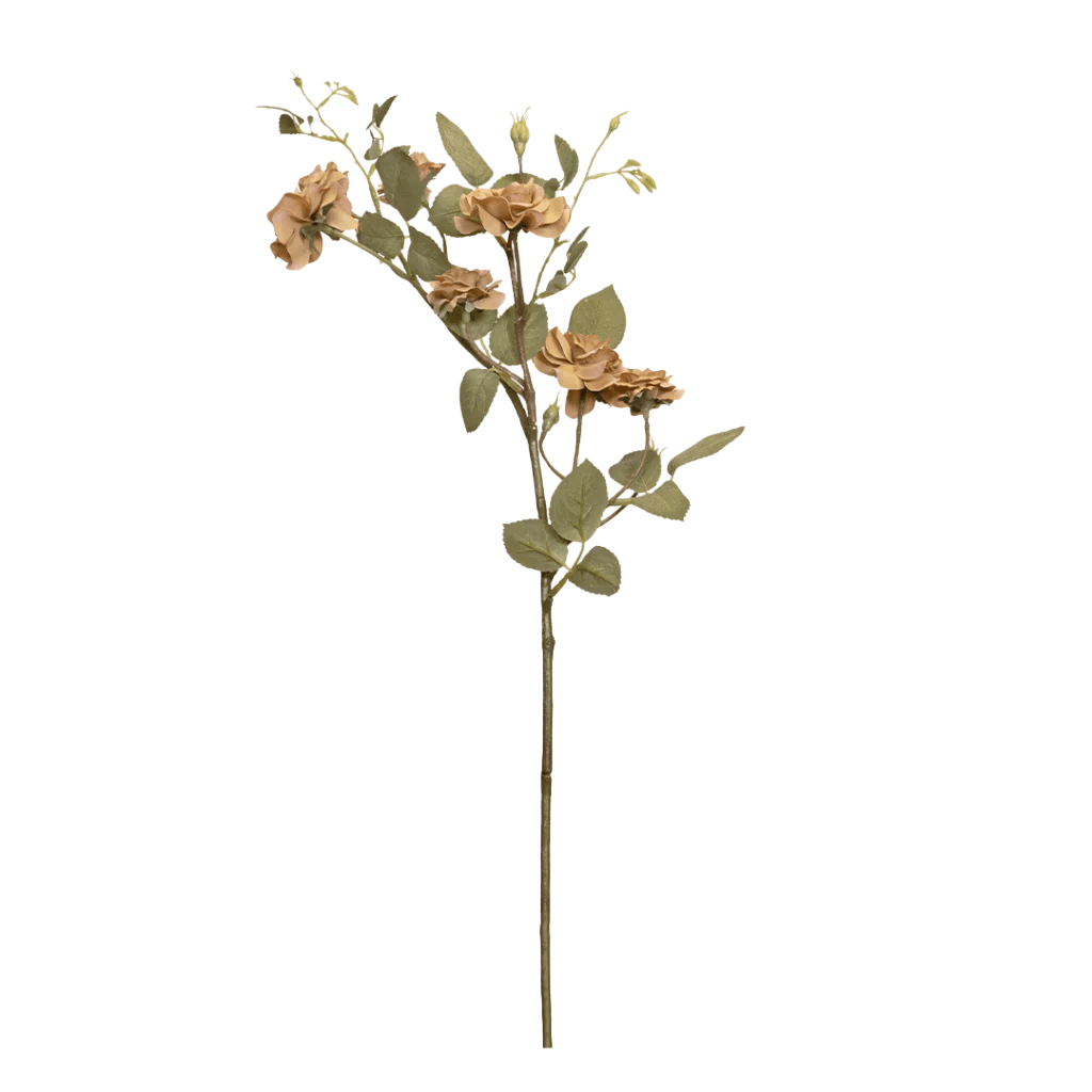 Rosa Spray Caramel