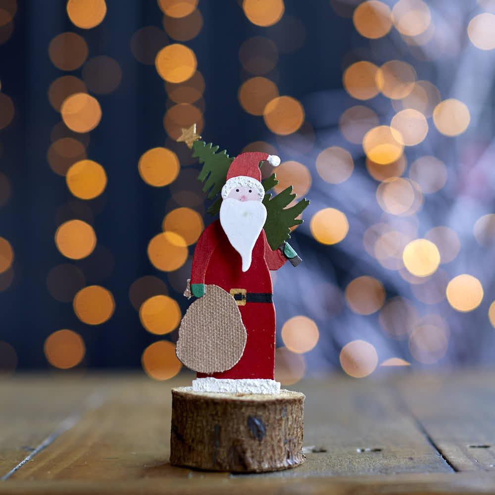 Santa with a Tree