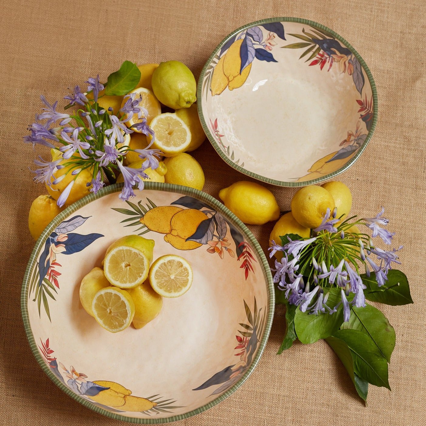 Set of 2 Melamine Lemon Salad Plates