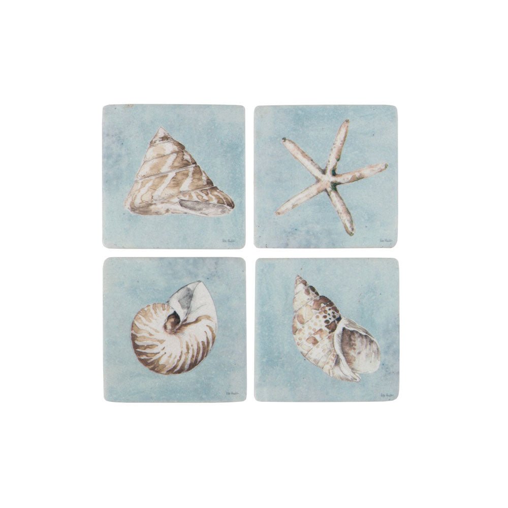Shell Coaster