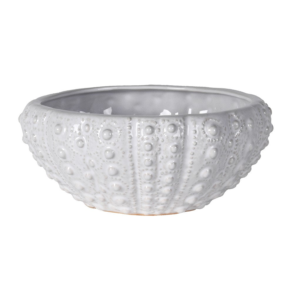 Small white ceramic bowl with textured urchin design on a white background