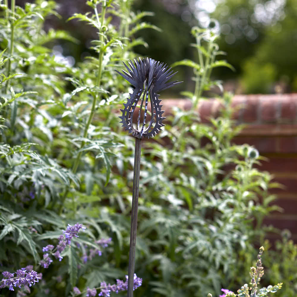 Thistle on Stake - Angela Reed -