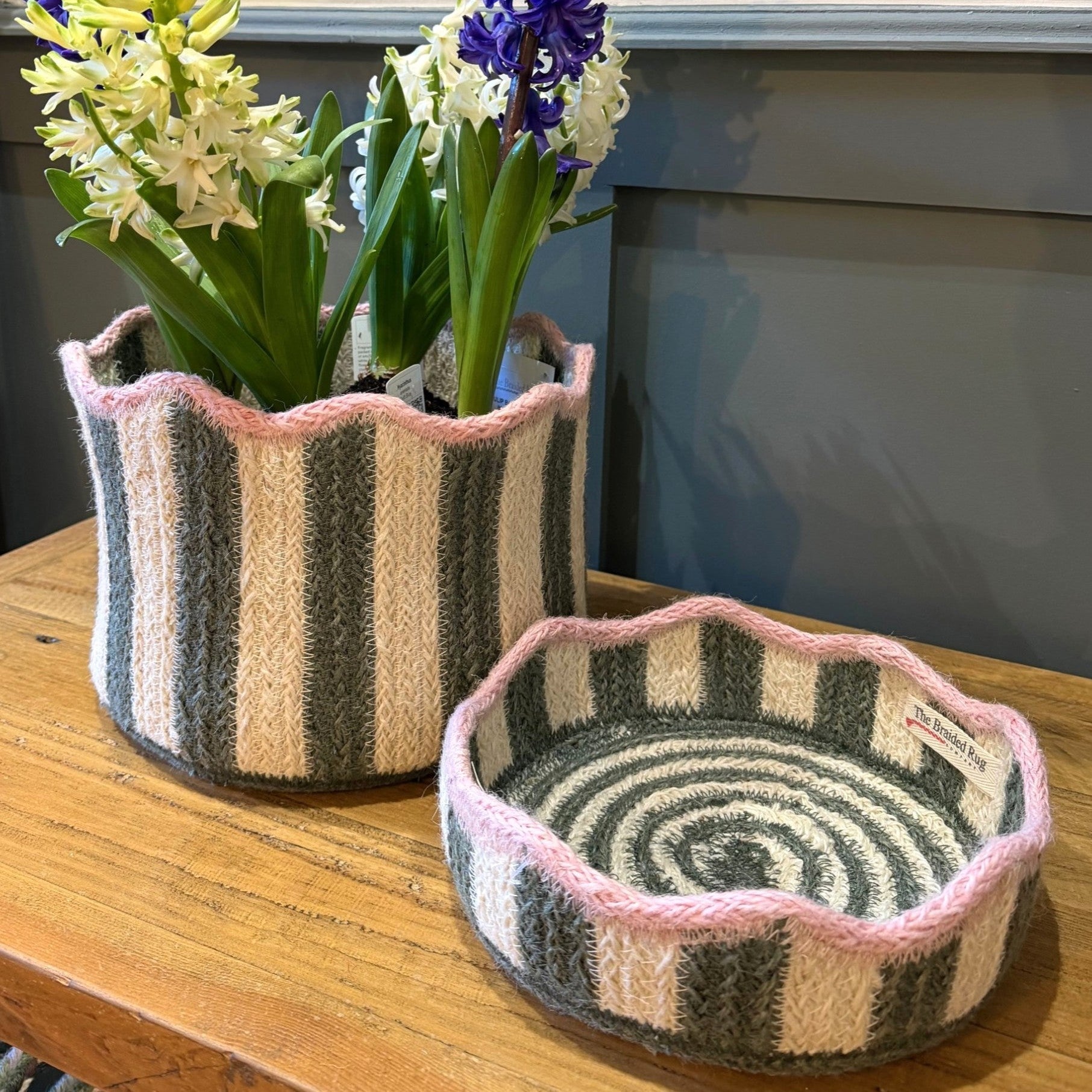 Tulip Basket Fig Mini,Large,Extra Large