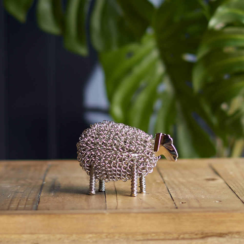 Wiggle Lamb, Nickel - Angela Reed -