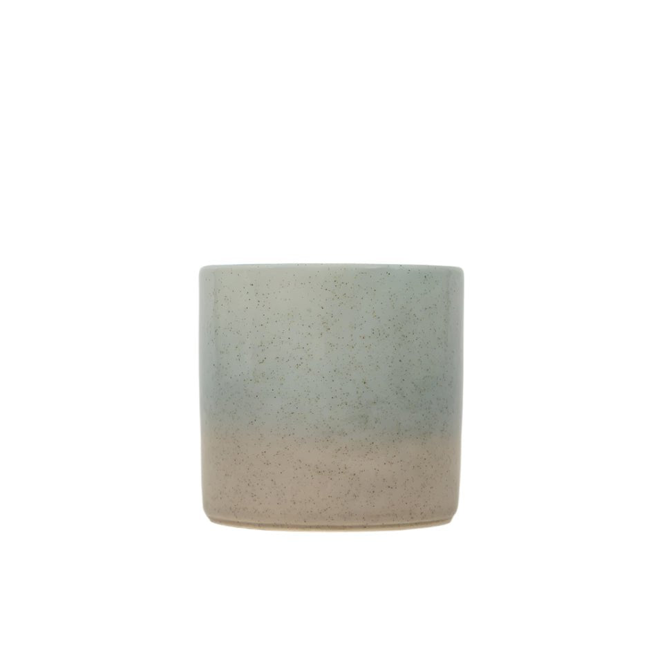 Wild Gorse, Sea & Shore Pot