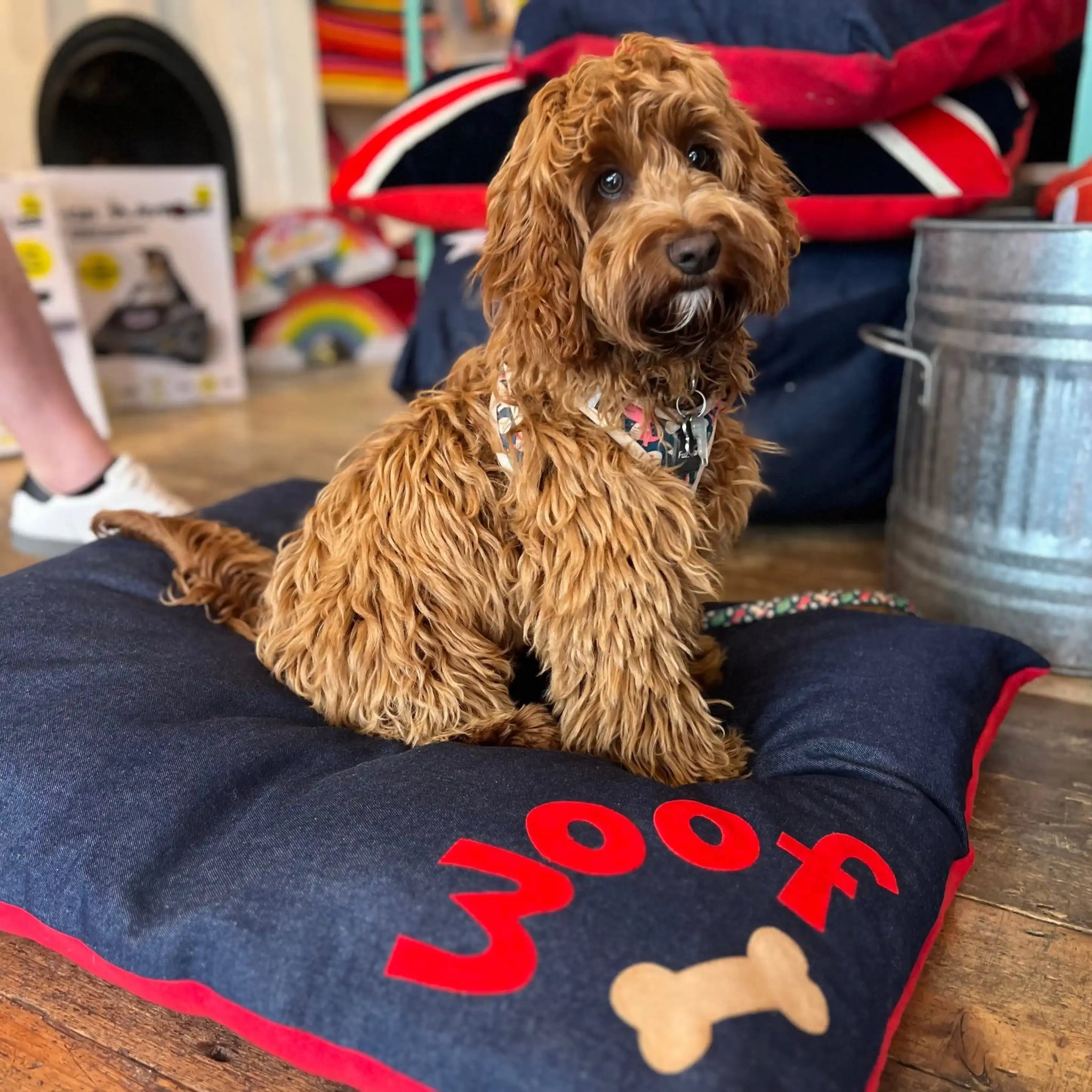 Woof Dog Bed, Medium Duck Egg - Corner Woof,Denim/Red - Corner Woof